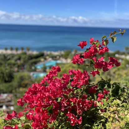 Nádherný zelený ostrov